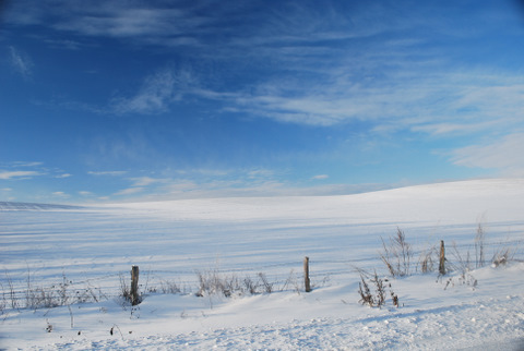 Winterlandschaft