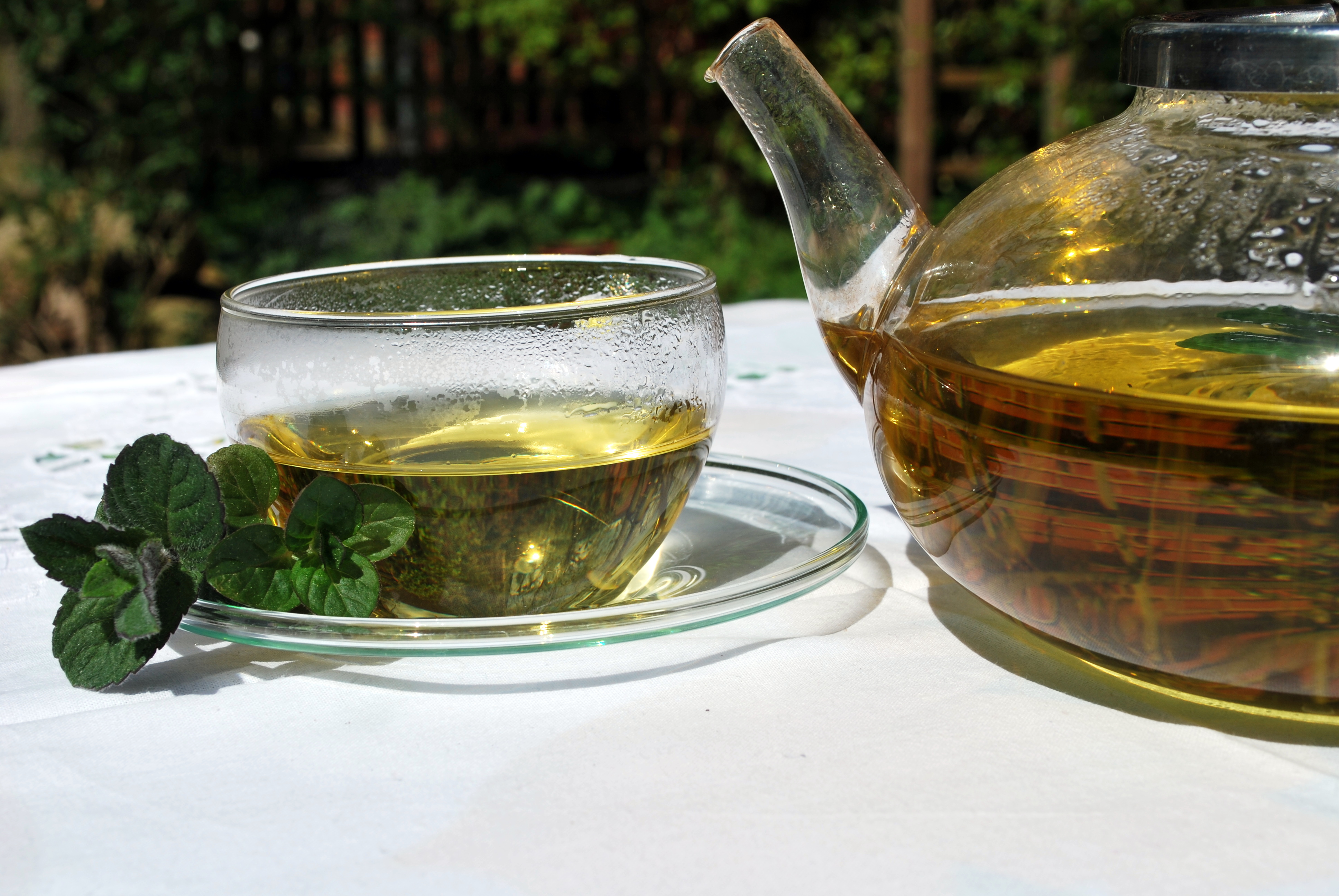 Kräutertee Kräutertee