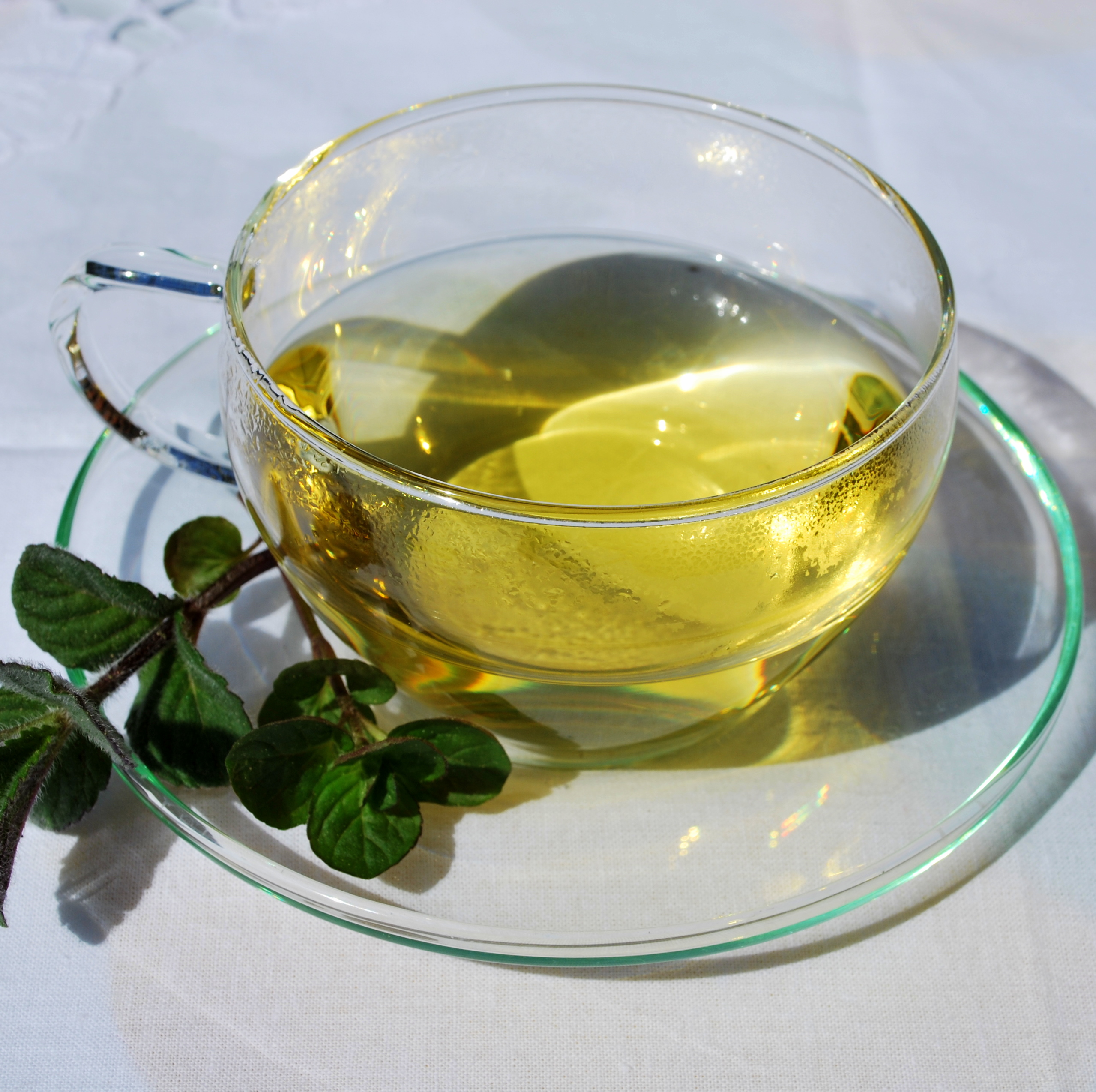 Kräutertee Kräutertee